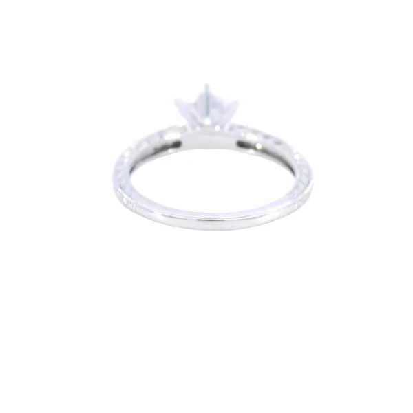 14K White Gold Unique Engagement Ring Setting Image 3 Carroll's Jewelers Fort Lauderdale, FL