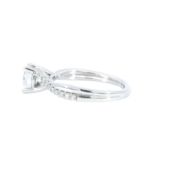 14K White Gold Diamond Engagement Ring Setting Image 2 Carroll's Jewelers Fort Lauderdale, FL