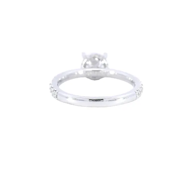 14K White Gold Hidden Halo Diamond Engagement Ring Setting Image 3 Carroll's Jewelers Fort Lauderdale, FL