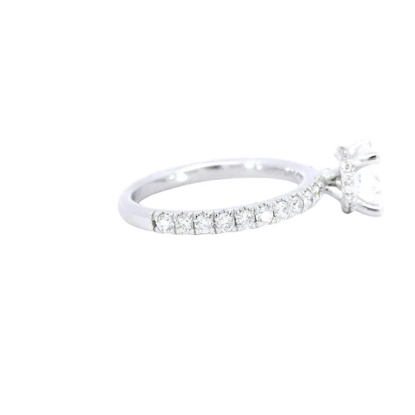 14K White Gold Hidden Halo Diamond Engagement Ring Setting Image 4 Carroll's Jewelers Fort Lauderdale, FL