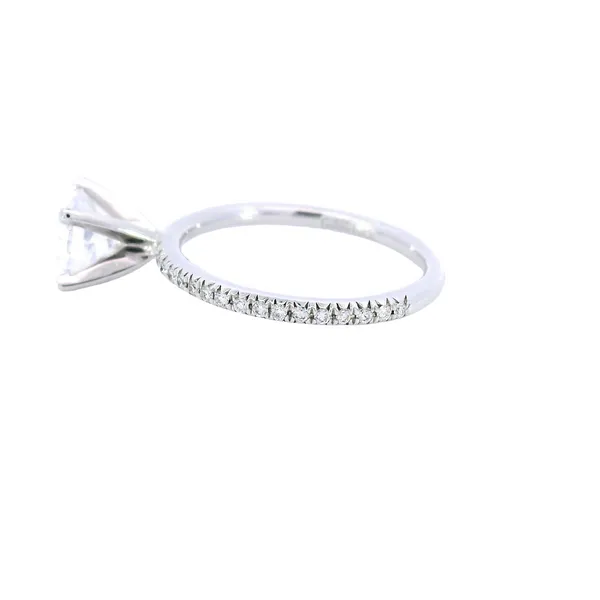 14K White Gold Pave Diamond Engagement Ring Setting Image 2 Carroll's Jewelers Fort Lauderdale, FL