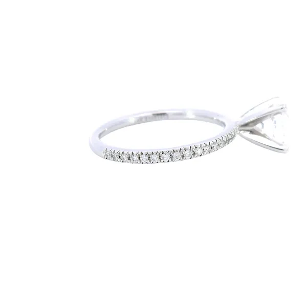 14K White Gold Pave Diamond Engagement Ring Setting Image 4 Carroll's Jewelers Fort Lauderdale, FL