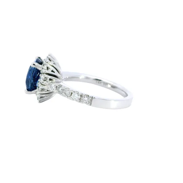 14K White Gold Diamond Halo & Sapphire Ring Image 2 Carroll's Jewelers Fort Lauderdale, FL