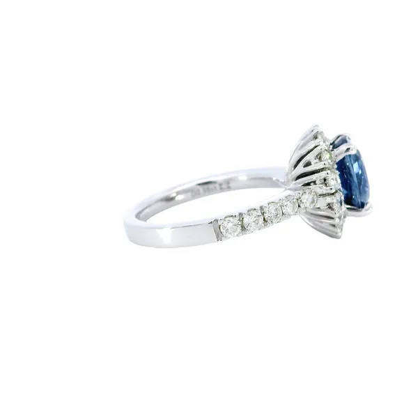 14K White Gold Diamond Halo & Sapphire Ring Image 4 Carroll's Jewelers Fort Lauderdale, FL