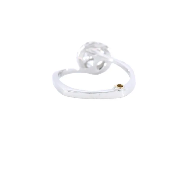 14K White Gold Halo Diamond Engagement Ring Setting Image 3 Carroll's Jewelers Fort Lauderdale, FL