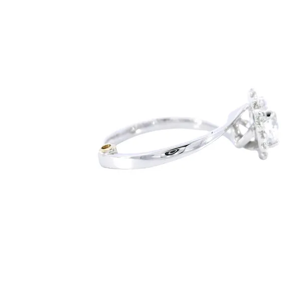 14K White Gold Halo Diamond Engagement Ring Setting Image 4 Carroll's Jewelers Fort Lauderdale, FL