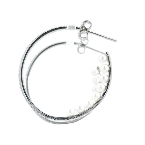 Diamond Earrings Image 2 Carroll's Jewelers Fort Lauderdale, FL
