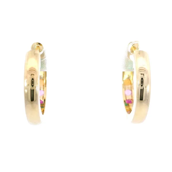 Gemstone Earrings Image 3 Carroll's Jewelers Fort Lauderdale, FL