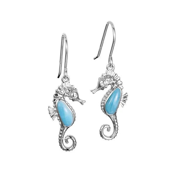 Silver Earrings Carroll's Jewelers Fort Lauderdale, FL