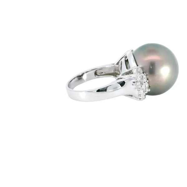 18K White Gold Cultured South Sea Pearl Ring Image 4 Carroll's Jewelers Fort Lauderdale, FL