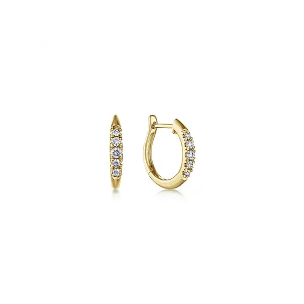 Diamond Earrings R. Bruce Carson Jewelers, Inc. Hagerstown, MD