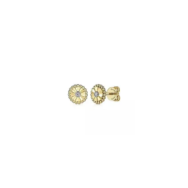 Diamond Earrings R. Bruce Carson Jewelers, Inc. Hagerstown, MD