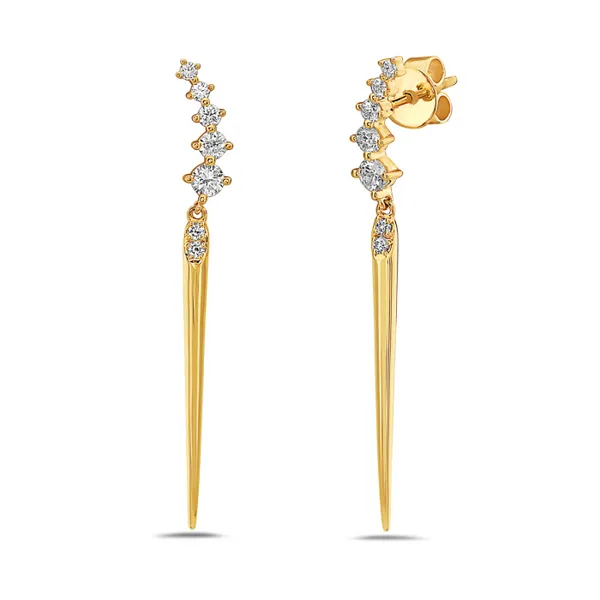 Diamond Earrings R. Bruce Carson Jewelers, Inc. Hagerstown, MD