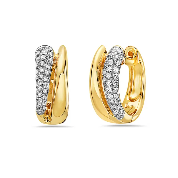 Diamond Earrings R. Bruce Carson Jewelers, Inc. Hagerstown, MD