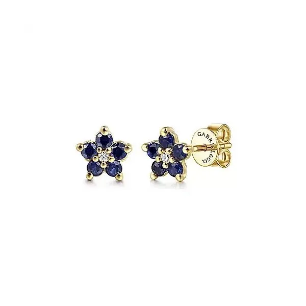 Colored Stone Earrings R. Bruce Carson Jewelers, Inc. Hagerstown, MD