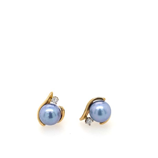 Earrings R. Bruce Carson Jewelers, Inc. Hagerstown, MD