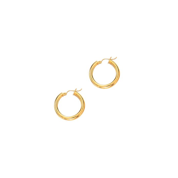 Gold Earrings R. Bruce Carson Jewelers, Inc. Hagerstown, MD