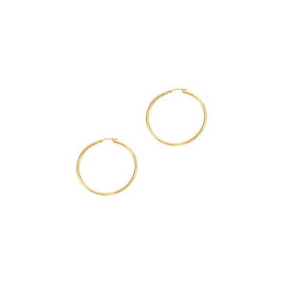 Gold Earrings R. Bruce Carson Jewelers, Inc. Hagerstown, MD