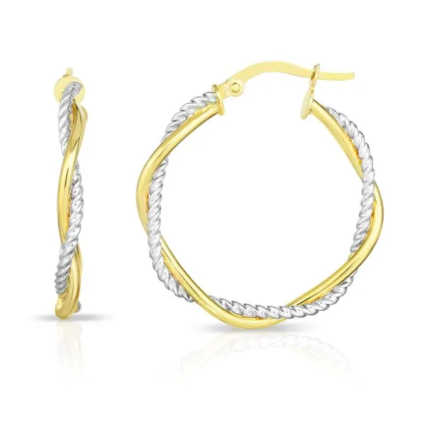 Gold Earrings R. Bruce Carson Jewelers, Inc. Hagerstown, MD
