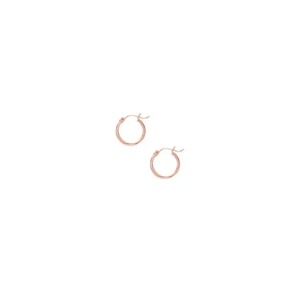 Gold Earrings R. Bruce Carson Jewelers, Inc. Hagerstown, MD