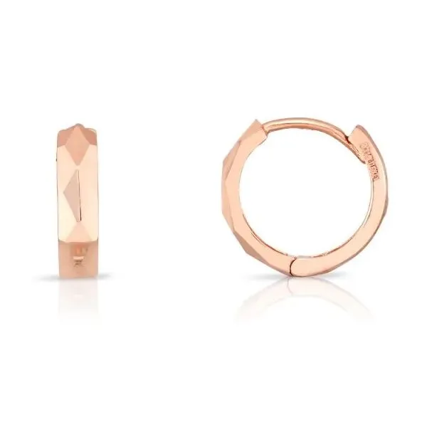 Gold Earrings R. Bruce Carson Jewelers, Inc. Hagerstown, MD