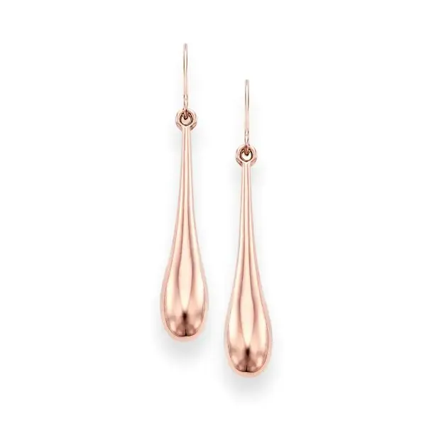 Gold Earrings R. Bruce Carson Jewelers, Inc. Hagerstown, MD