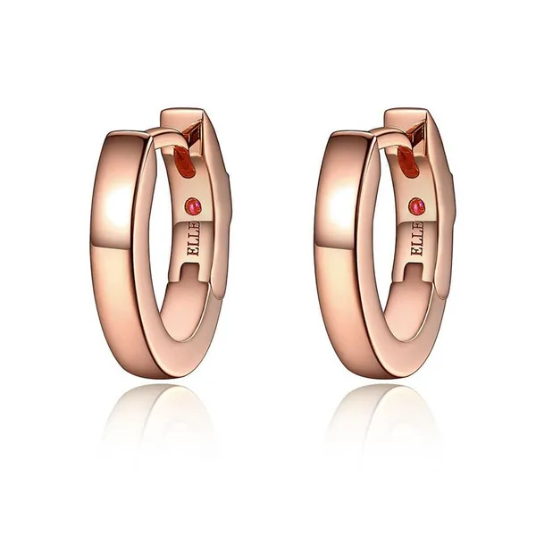 Sterling Silver Earrings R. Bruce Carson Jewelers, Inc. Hagerstown, MD