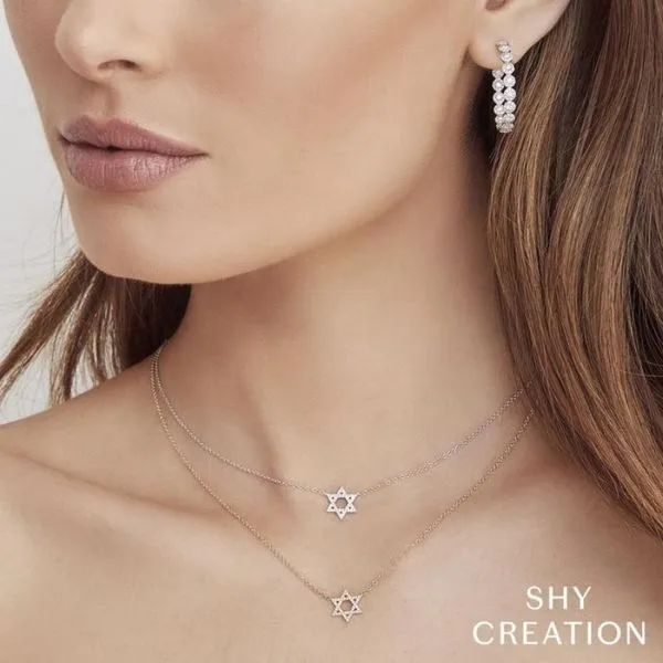 DIAMOND STAR OF DAVID NECKLACE Image 2 Cellini Design Jewelers Orange, CT