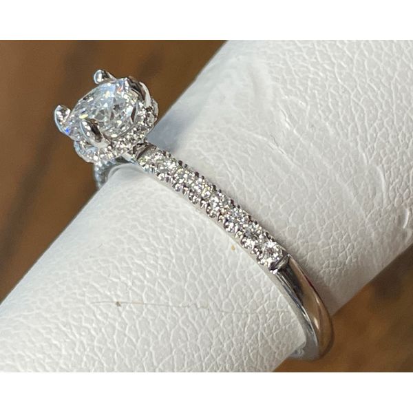 Diamond Engagement Ring, 0.50ct, SI2, GH,  hidden halo, 0.12cttw, sz 6, 14k White Image 2 Chandlee Jewelers Athens, GA