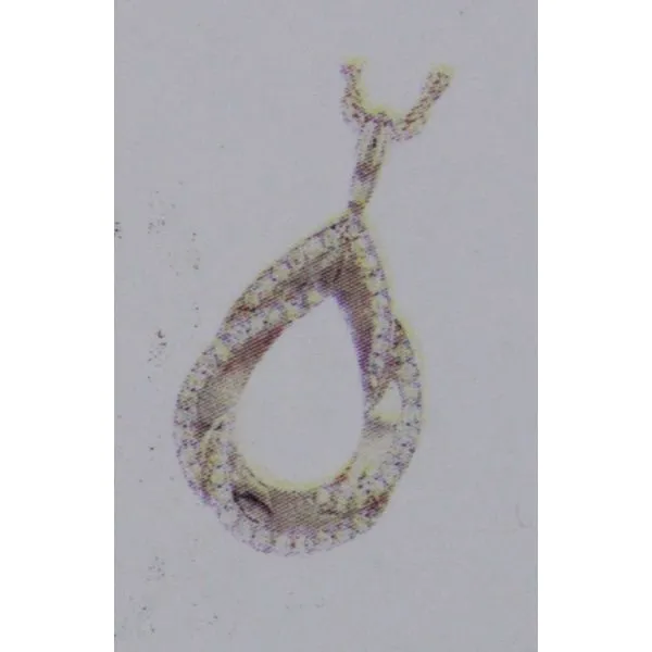 Diamond Pendant Chandlee Jewelers Athens, GA