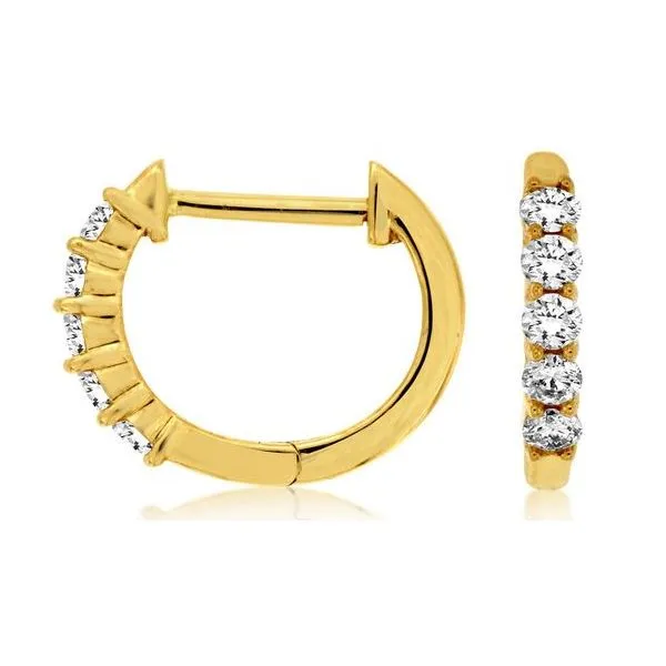 Diamond Earring Hoops, 0.25 Ct., 14 Karat, Yellow