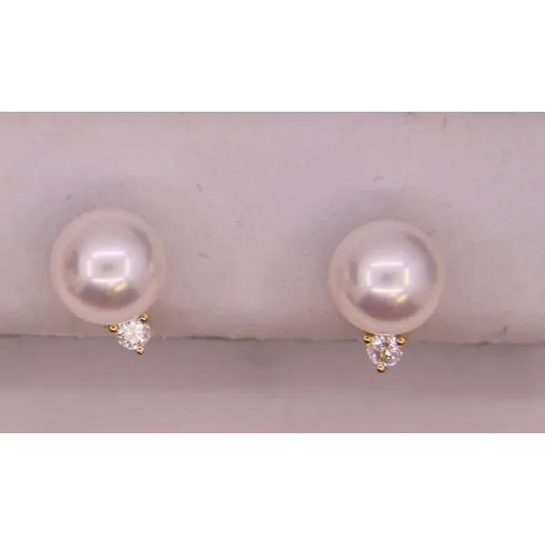 Pearl Earrings Chandlee Jewelers Athens, GA
