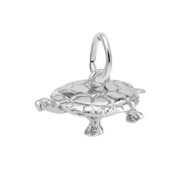 Sterling Silver Charm similar item image