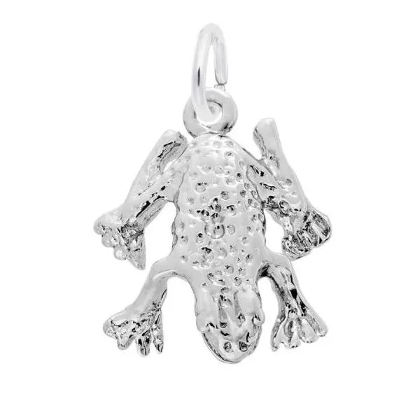 Sterling Silver Charm similar item image