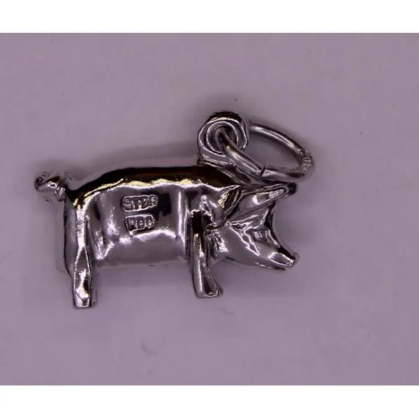 Sterling Silver Charm