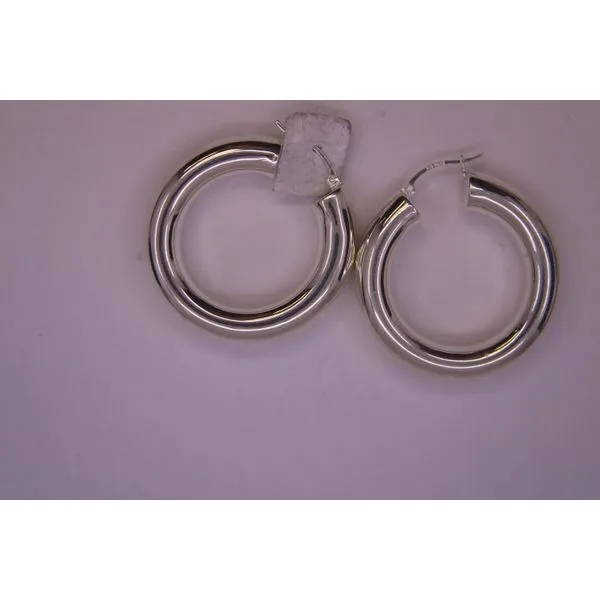 Sterling Silver Earrings