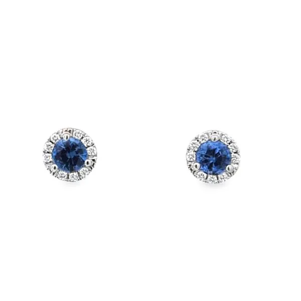 18kw Sapphire Halo Earrings Charles Frederick Jewelers Chelmsford, MA