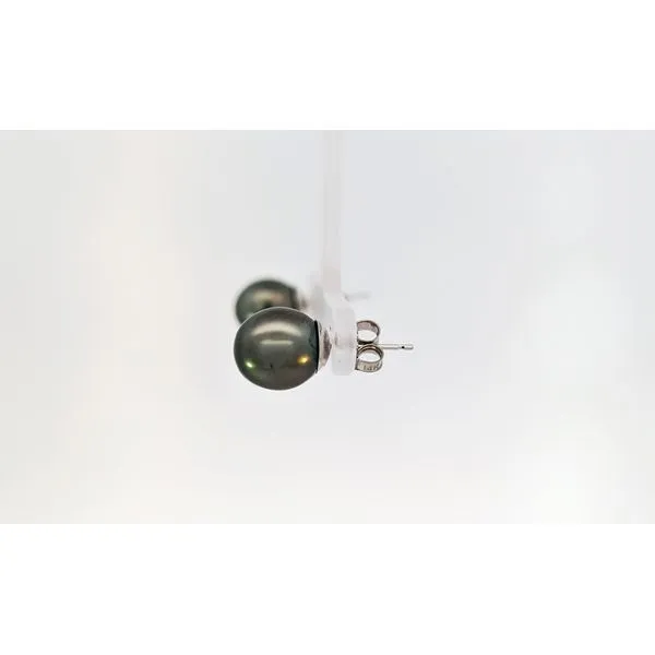Tahitian Pearl Earrings