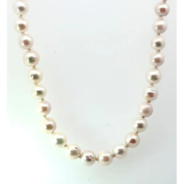 18in 5mm Akoya Pearl Strand with 14KY Fish Tail Clasp