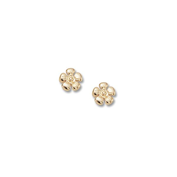 14KY Daisy Flower Earrings Charles Frederick Jewelers Chelmsford, MA