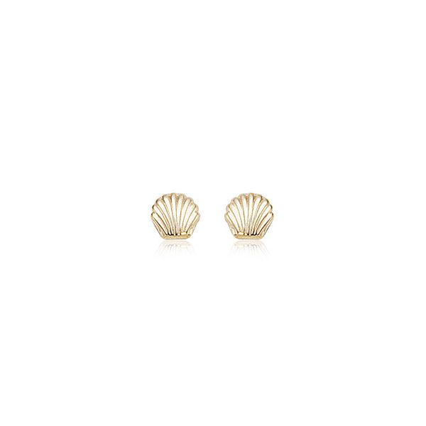 14KY Sea Shell Earrings Charles Frederick Jewelers Chelmsford, MA