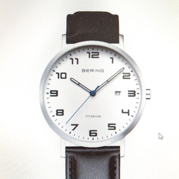 Bering Titanium Watch Charles Frederick Jewelers Chelmsford, MA