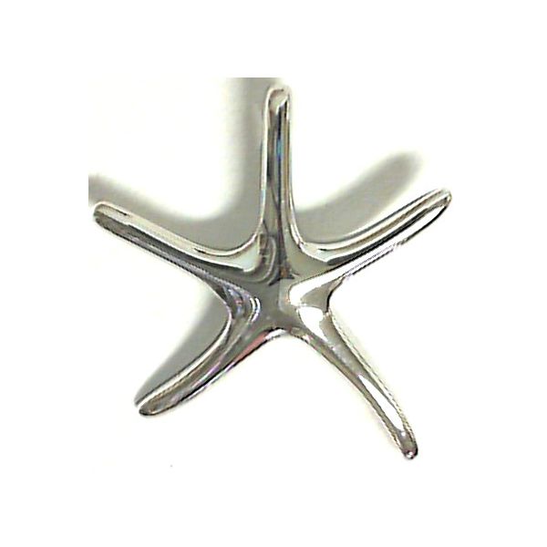 SS Starfish Pendant w/ Hidden Bail Charles Frederick Jewelers Chelmsford, MA
