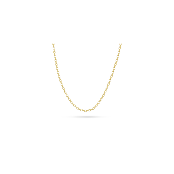 LOLA Signature Rolo Gold 3.0mm 16 inches Charles Frederick Jewelers Chelmsford, MA