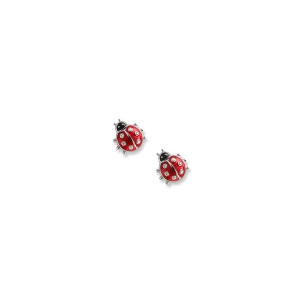 Sterling Enamel Earrings
