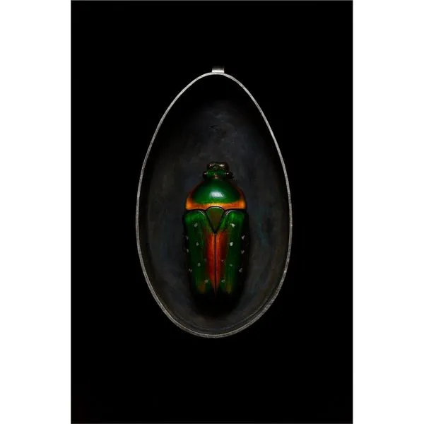 Estate Handmade Sterling Silver Stephanorrhina Guttata Beetle Pendant With A Bezel Set Moonstone And Affixed Bail Total Weight On The Piece Is 24.7 Gr Image 3 Charles Frederick Jewelers Chelmsford, MA