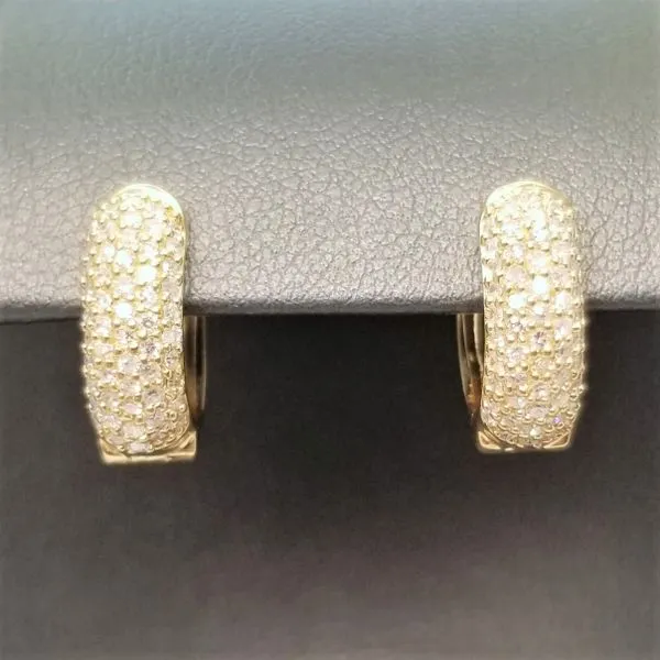 Earring Chipper's Jewelry Bonney Lake, WA