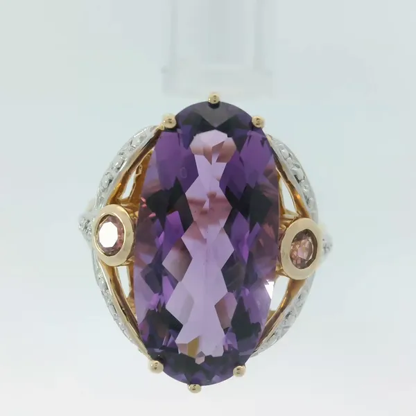 14K Yellow Gold Amethyst Pink Tourmaline Dragonfly Ring Chipper's Jewelry Bonney Lake, WA