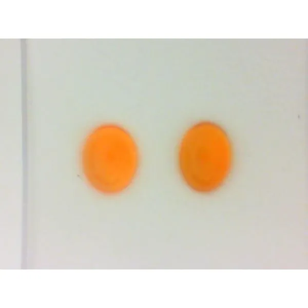 14K White Gold Oval Fire Opal Earrings Image 2 Chipper's Jewelry Bonney Lake, WA