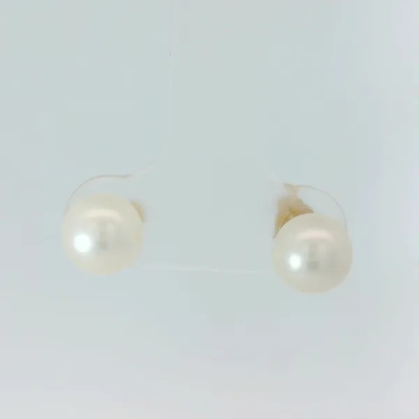 14KY 5.47mm Pearl Earrings Chipper's Jewelry Bonney Lake, WA